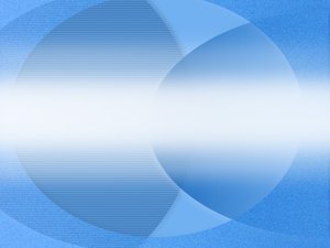企业建站应急预案制定